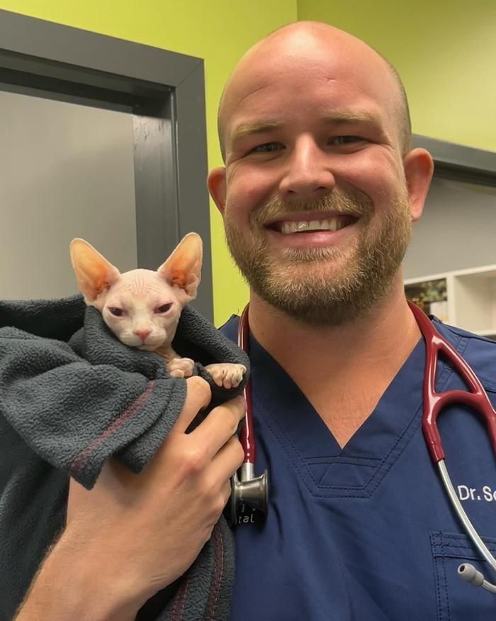 Images Queen City Animal Hospital