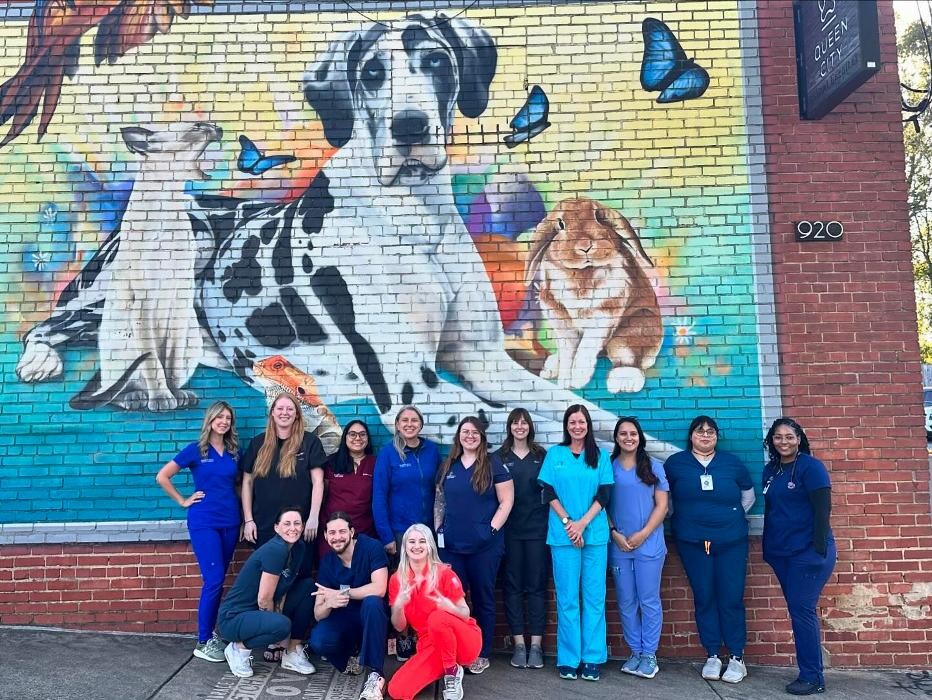 Images Queen City Animal Hospital