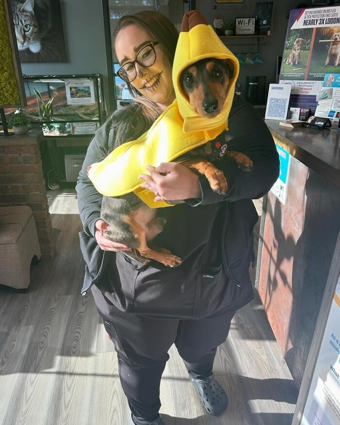 Images Queen City Animal Hospital