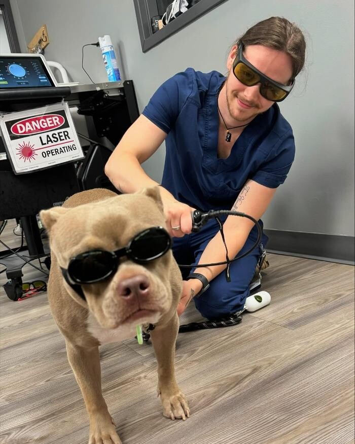Images Queen City Animal Hospital