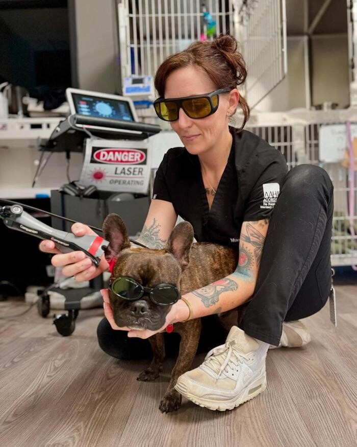 Images Queen City Animal Hospital
