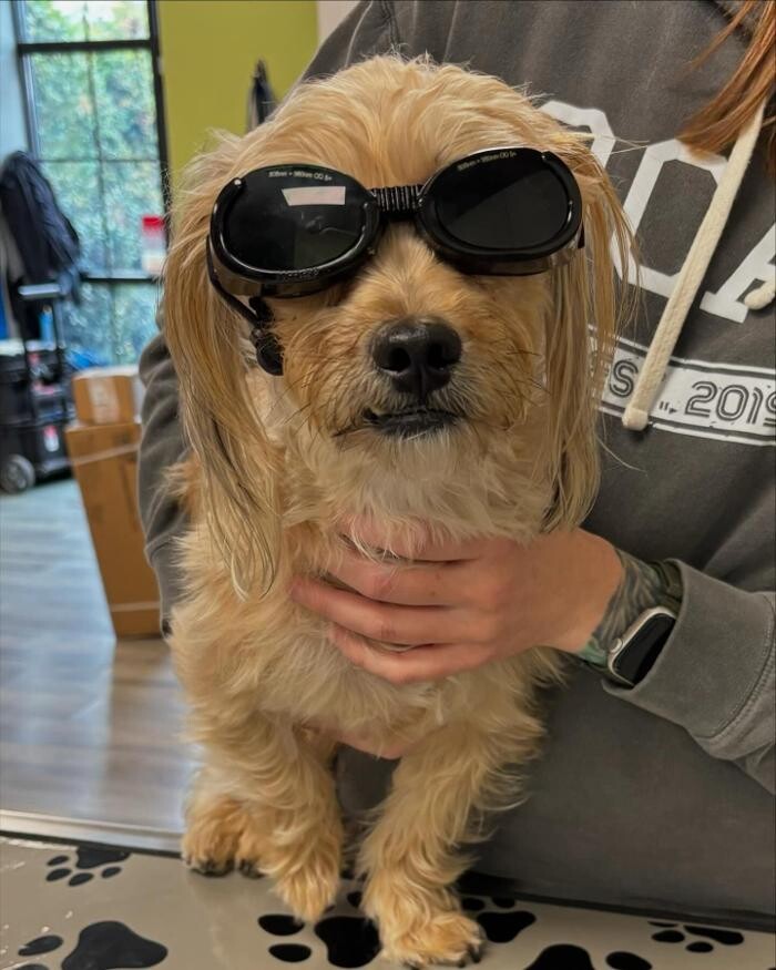 Images Queen City Animal Hospital