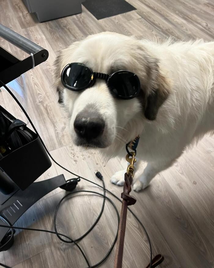 Images Queen City Animal Hospital
