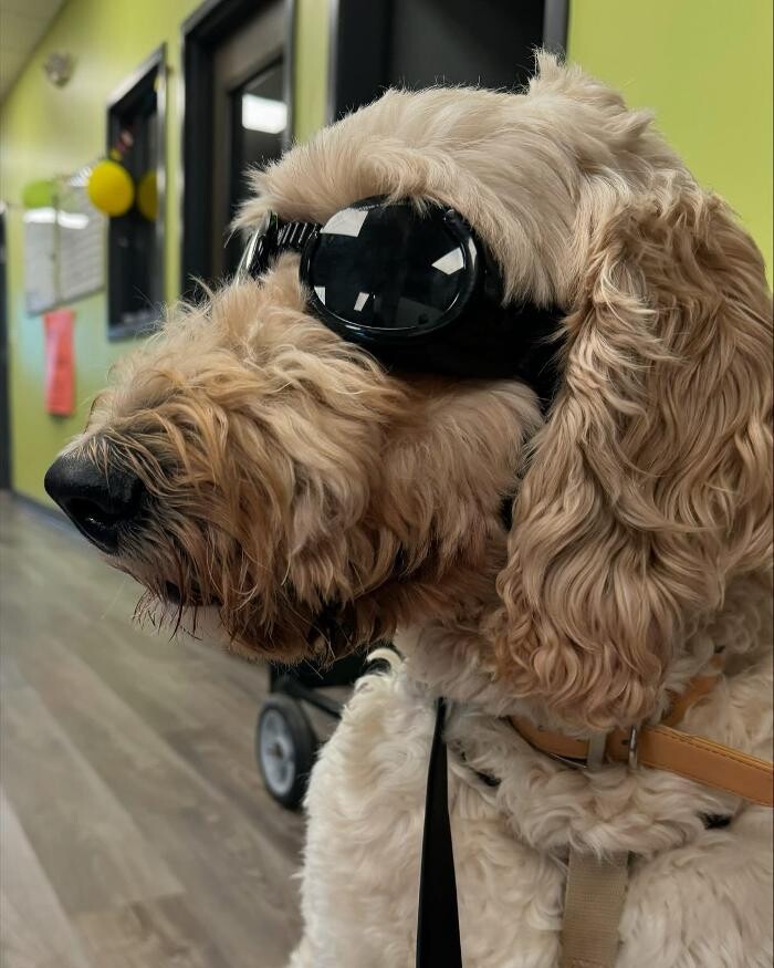Images Queen City Animal Hospital