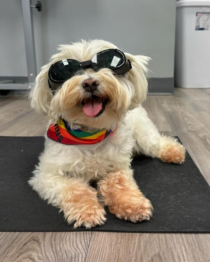 Images Queen City Animal Hospital
