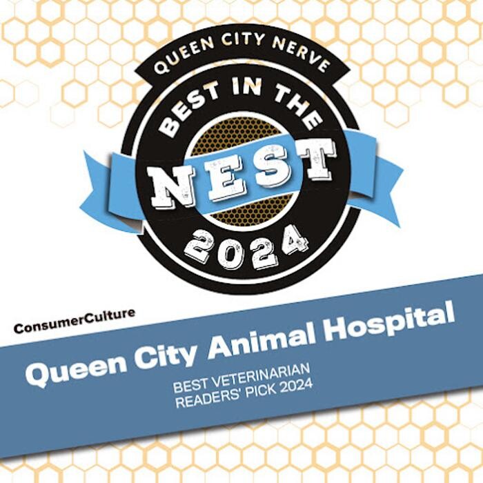 Images Queen City Animal Hospital