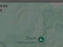 Website Screenshot Burger King