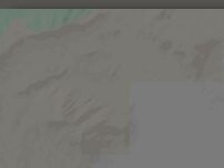 Website Screenshot Burger King