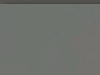 Website Screenshot Burger King