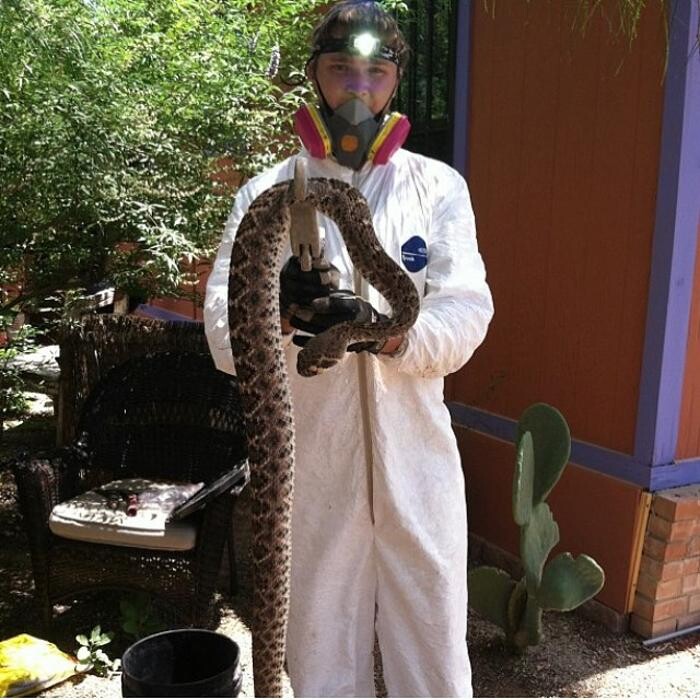 Images Trutech Wildlife Service