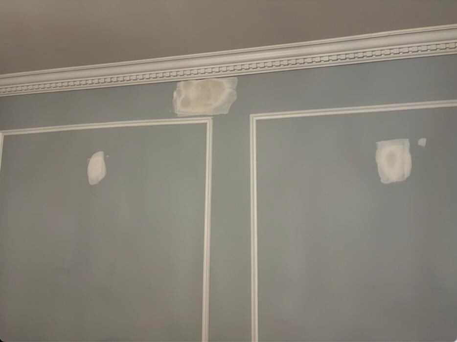 Images Shamrock Painting Plus, LLC