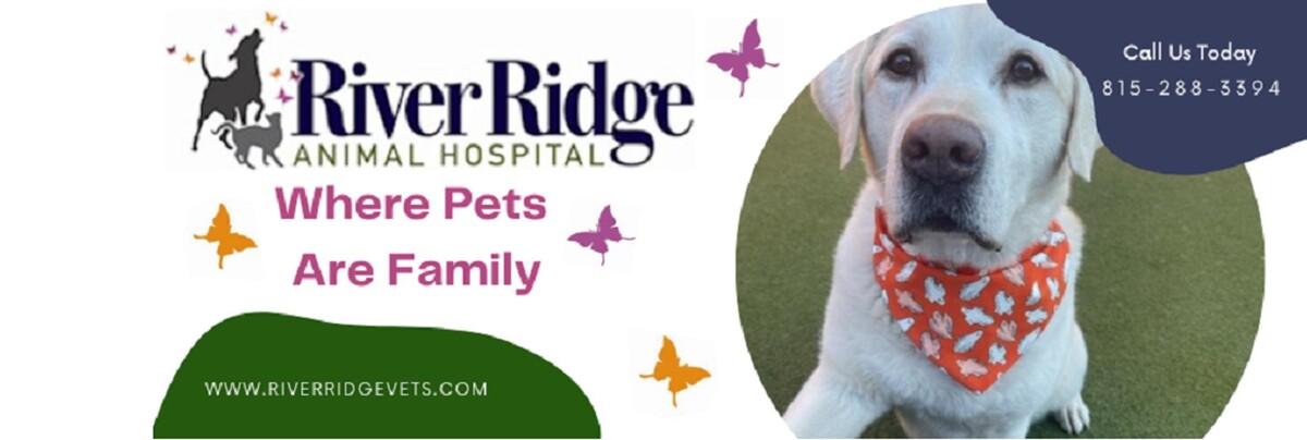 Images River Ridge Animal Hospital