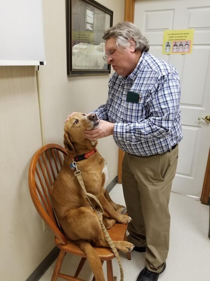 Images Wayne Heights Animal Hospital