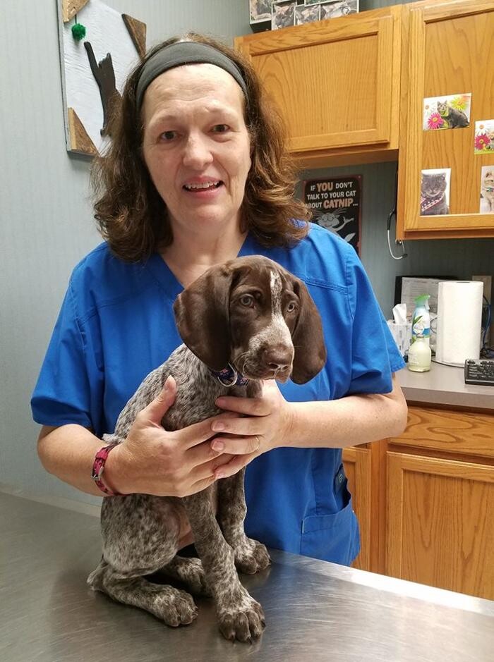 Images Wayne Heights Animal Hospital