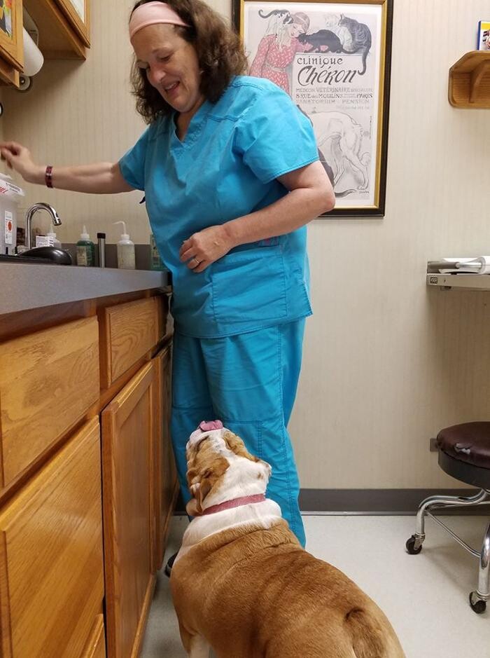 Images Wayne Heights Animal Hospital