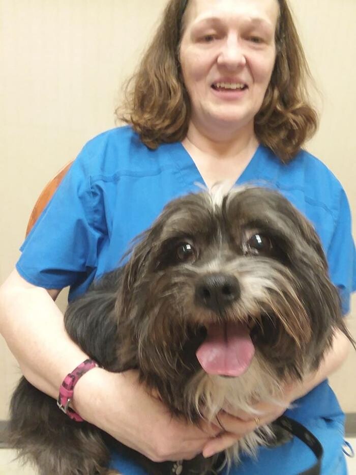 Images Wayne Heights Animal Hospital