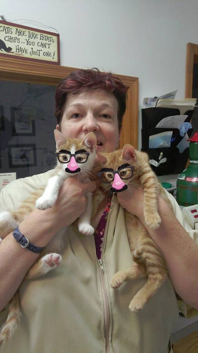 Images Wayne Heights Animal Hospital