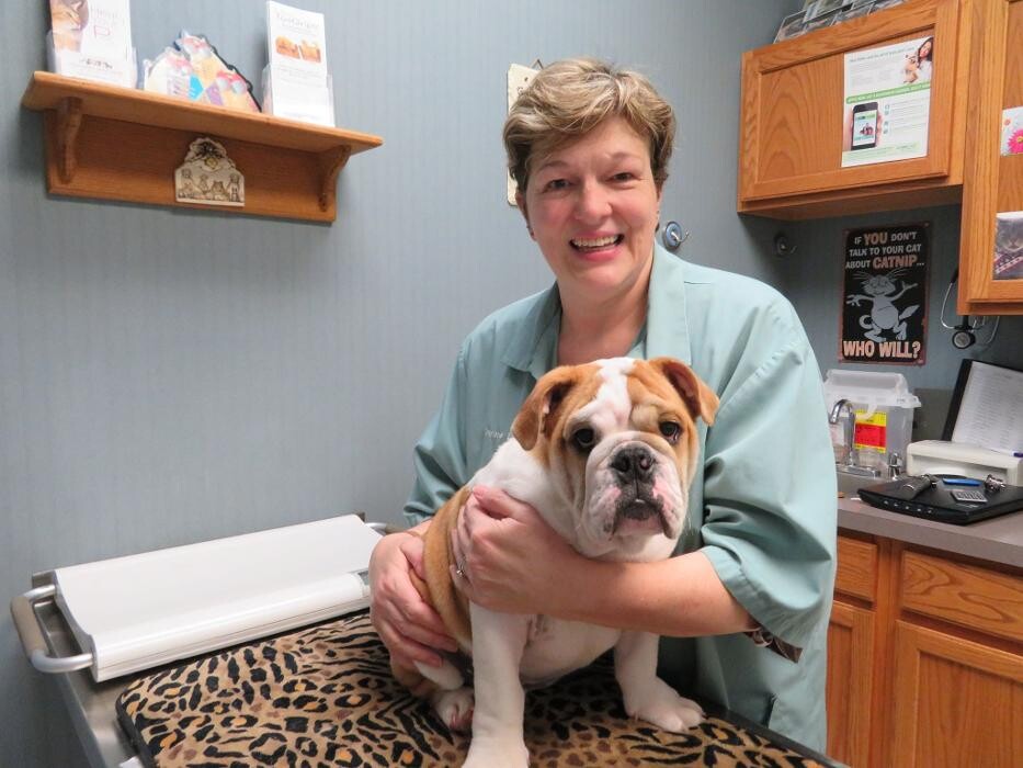 Images Wayne Heights Animal Hospital