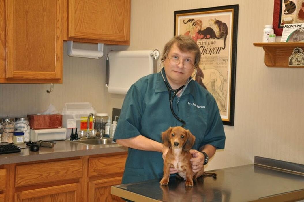 Images Wayne Heights Animal Hospital