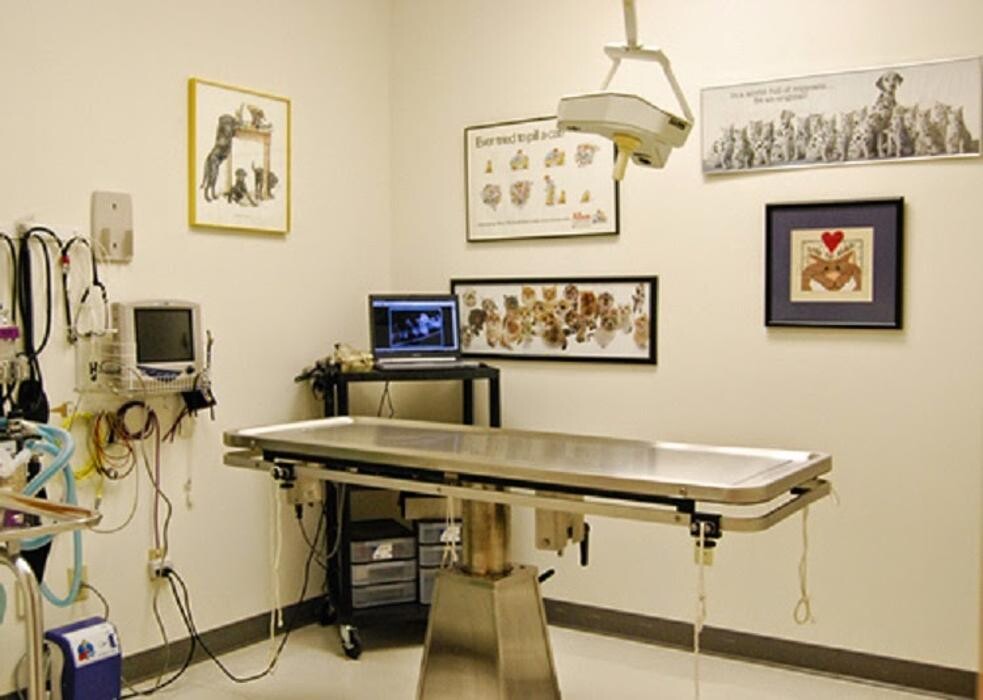 Images Wayne Heights Animal Hospital