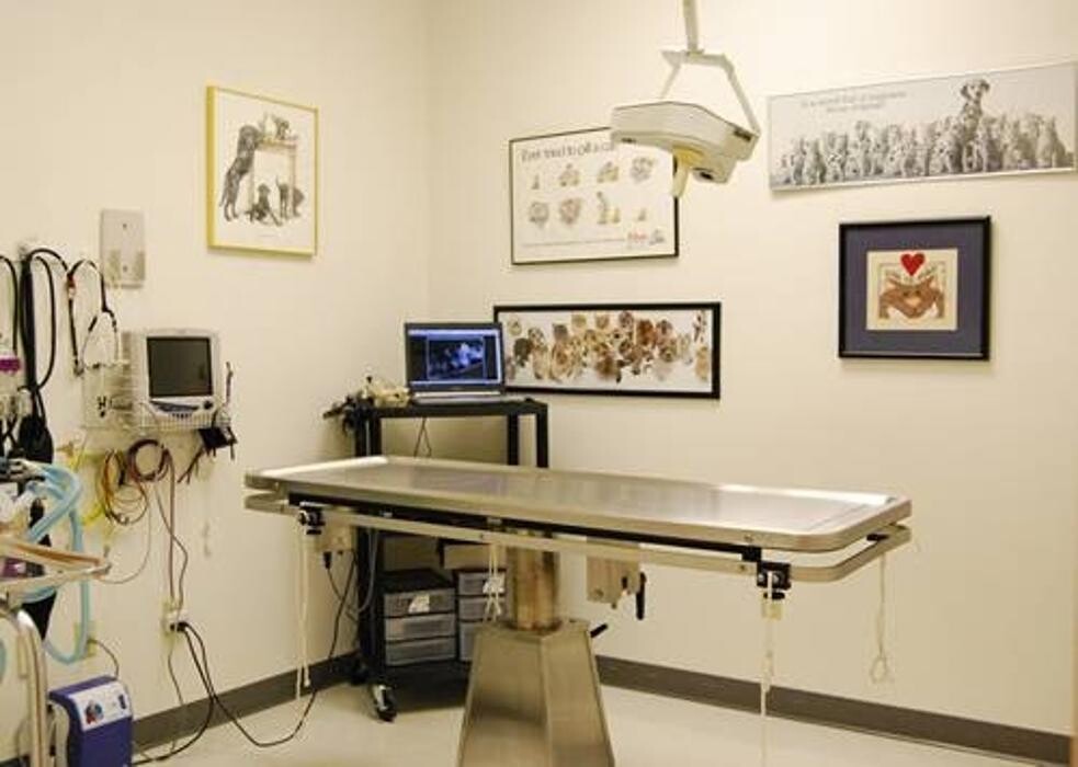 Images Wayne Heights Animal Hospital