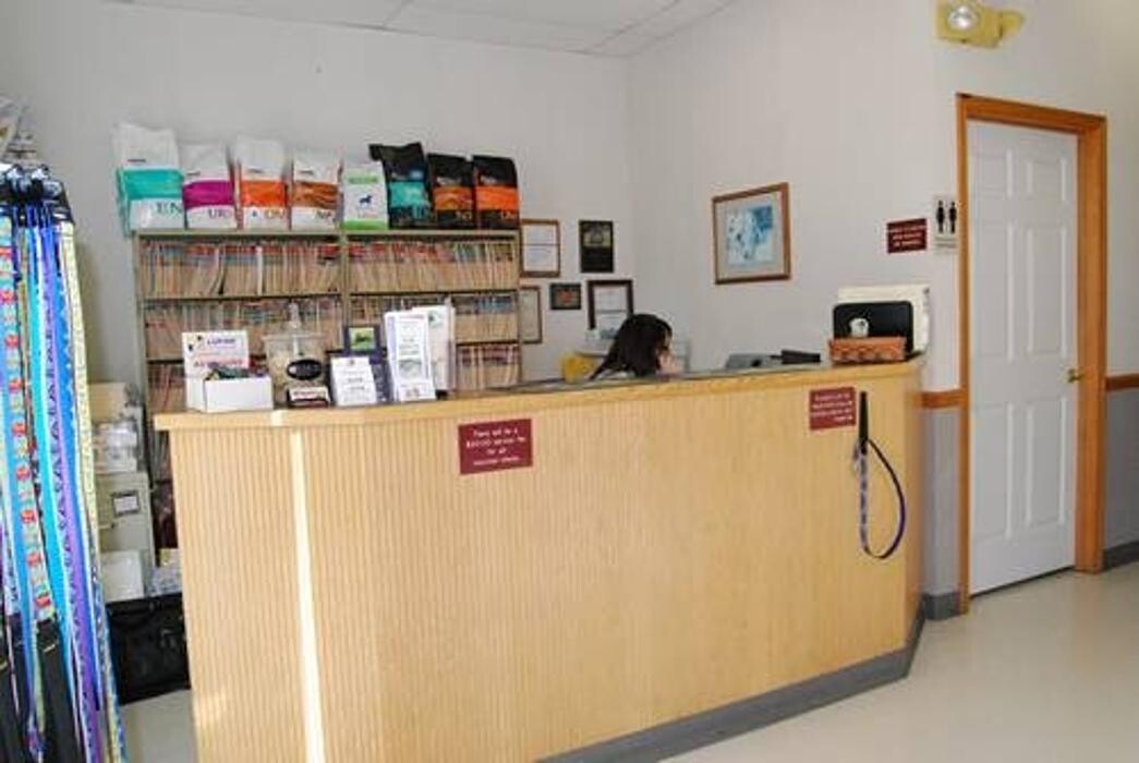 Images Wayne Heights Animal Hospital