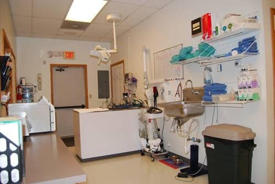 Images Wayne Heights Animal Hospital