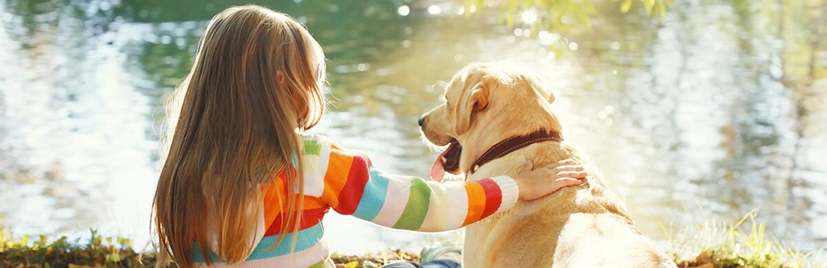 Images Wayne Heights Animal Hospital