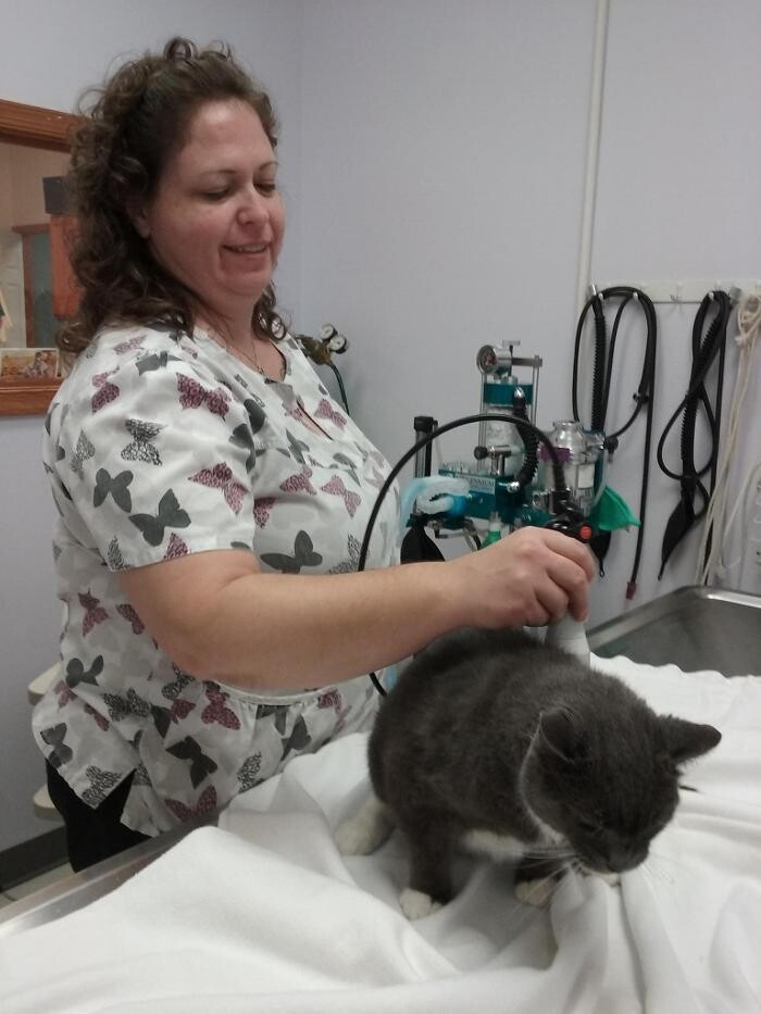 Images Wayne Heights Animal Hospital