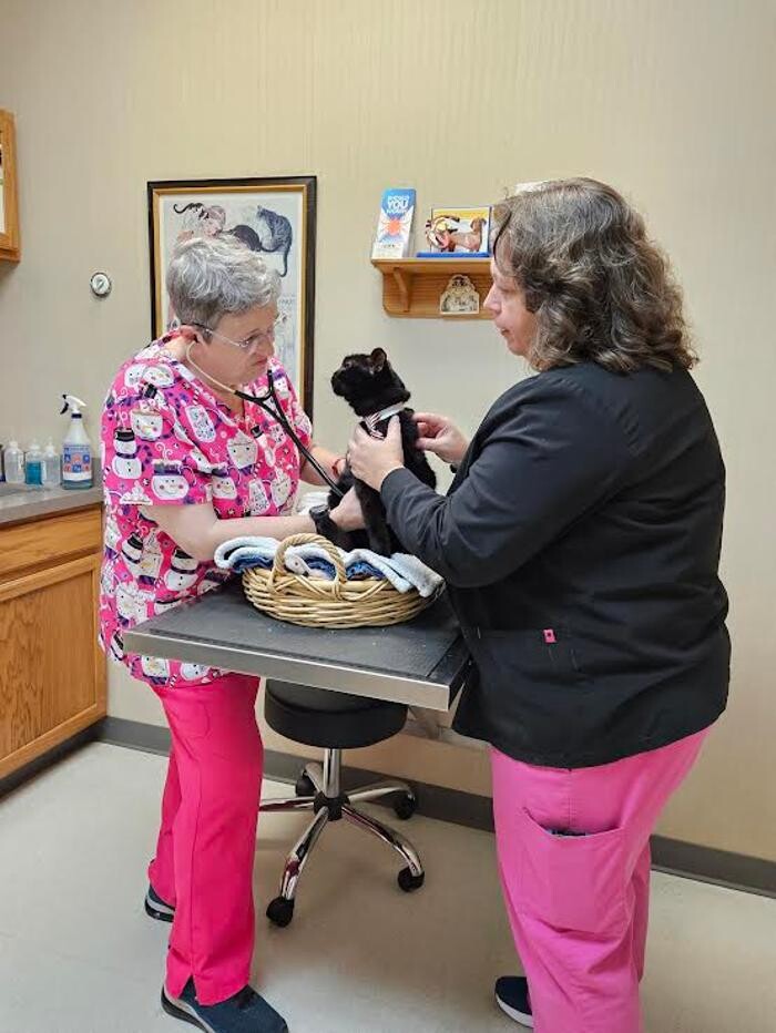 Images Wayne Heights Animal Hospital