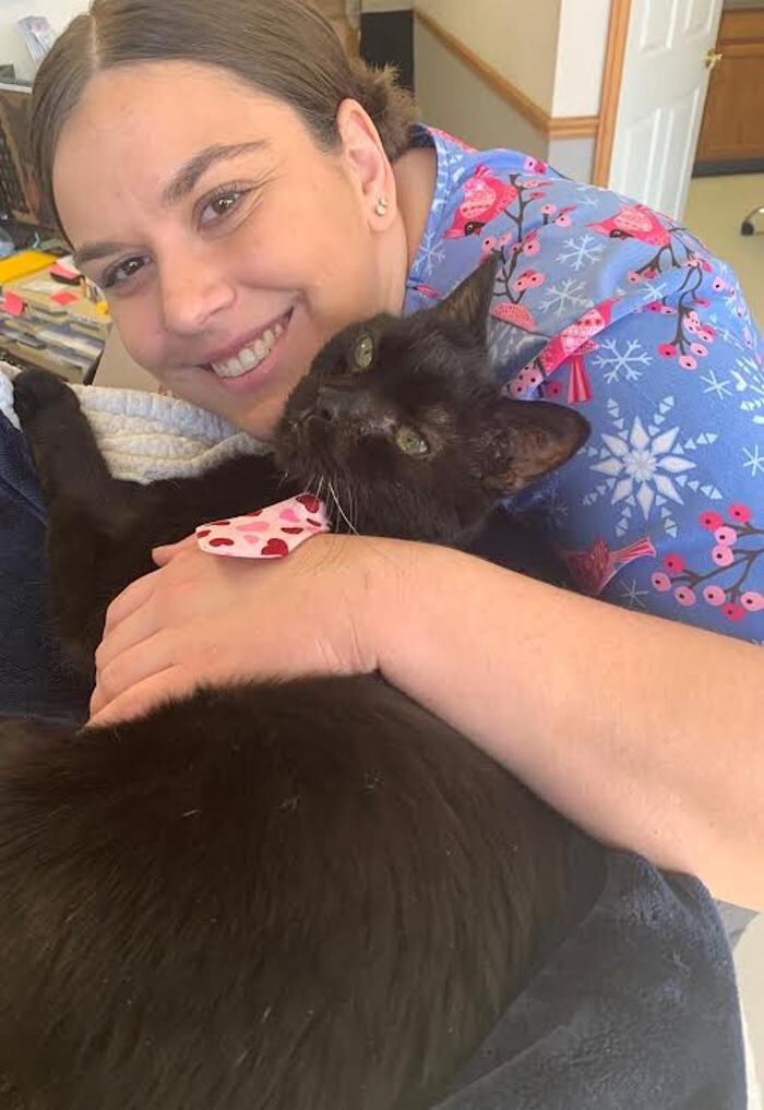 Images Wayne Heights Animal Hospital