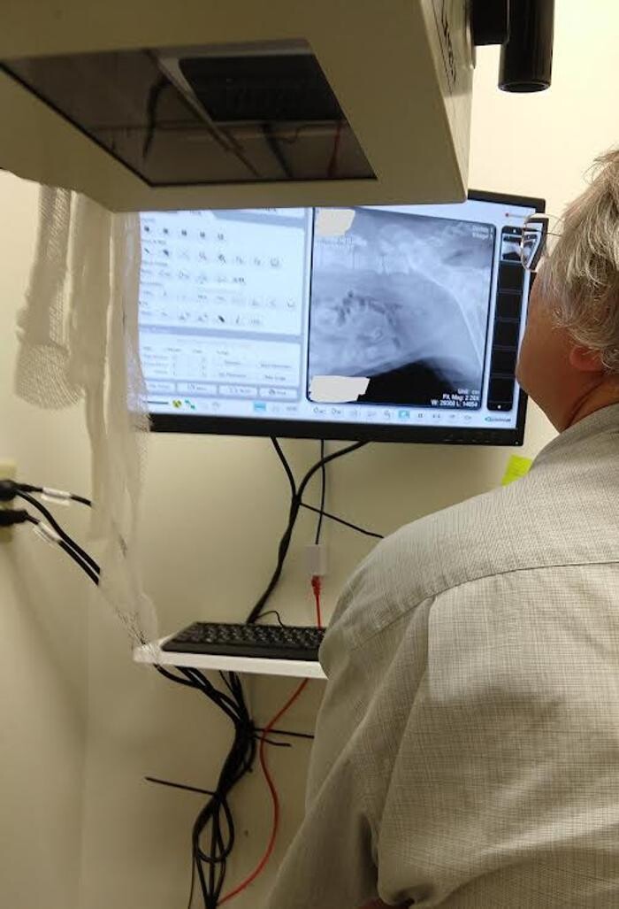 Images Wayne Heights Animal Hospital