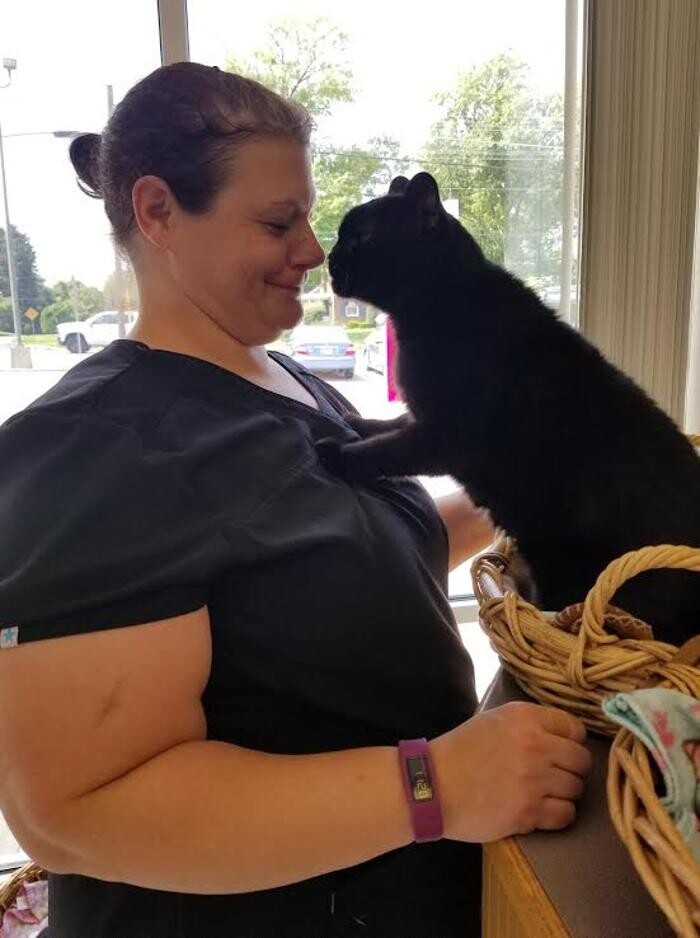 Images Wayne Heights Animal Hospital