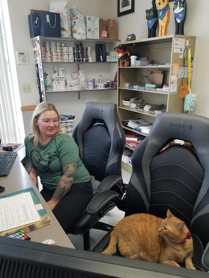 Images Wayne Heights Animal Hospital