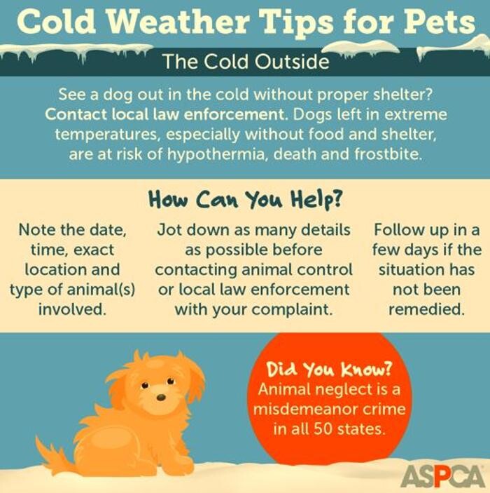 Images Wayne Heights Animal Hospital