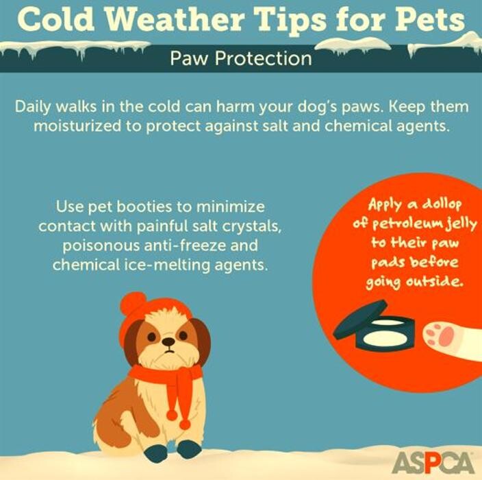 Images Wayne Heights Animal Hospital