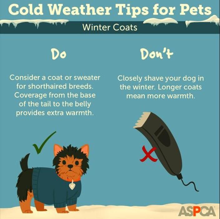 Images Wayne Heights Animal Hospital