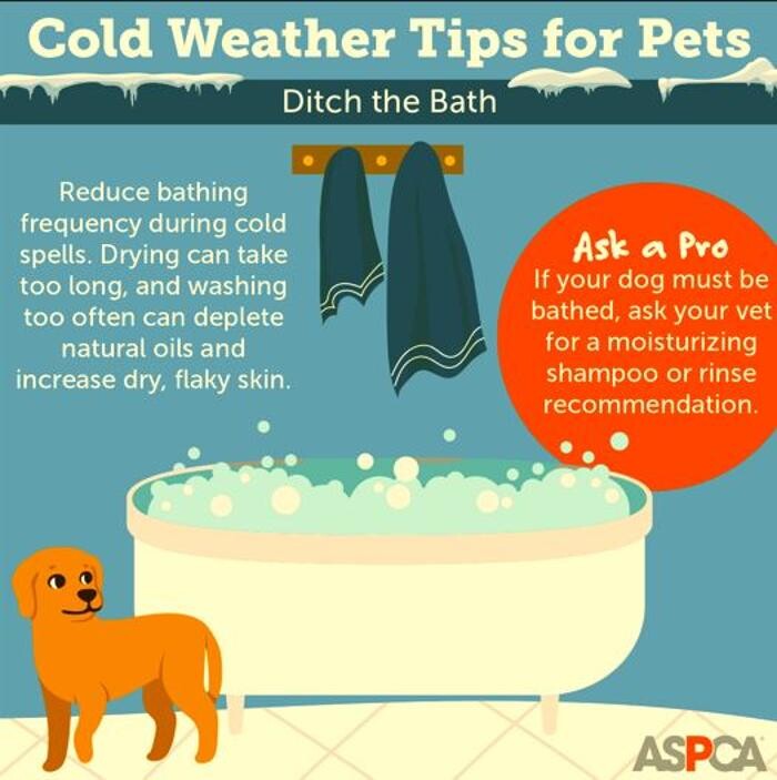 Images Wayne Heights Animal Hospital