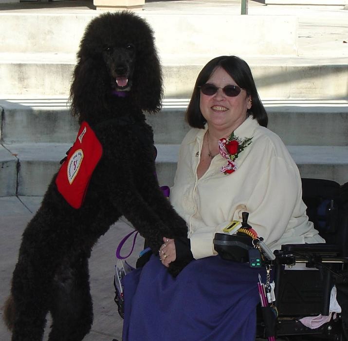 Images Leashes For Living Assistance Dog School