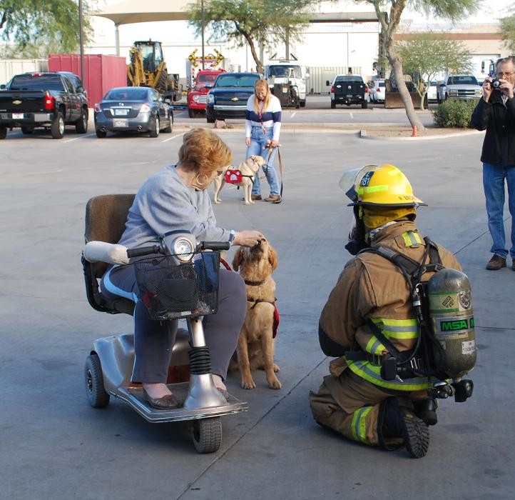 Images Leashes For Living Assistance Dog School