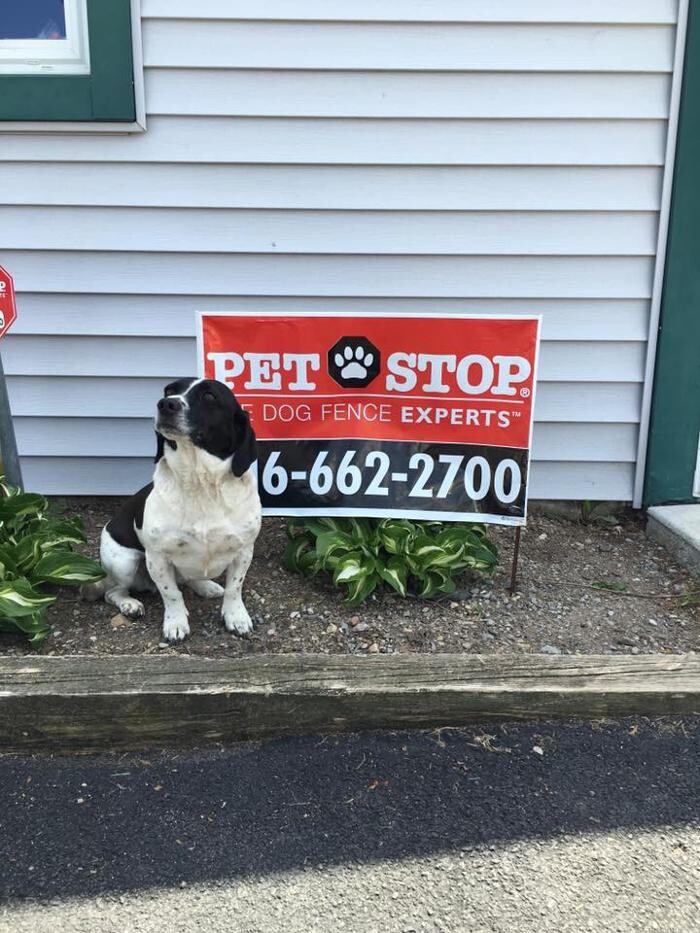 Images Pet Stop of WNY