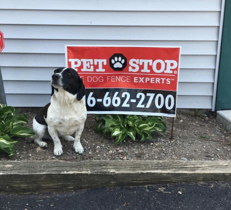 Images Pet Stop of WNY