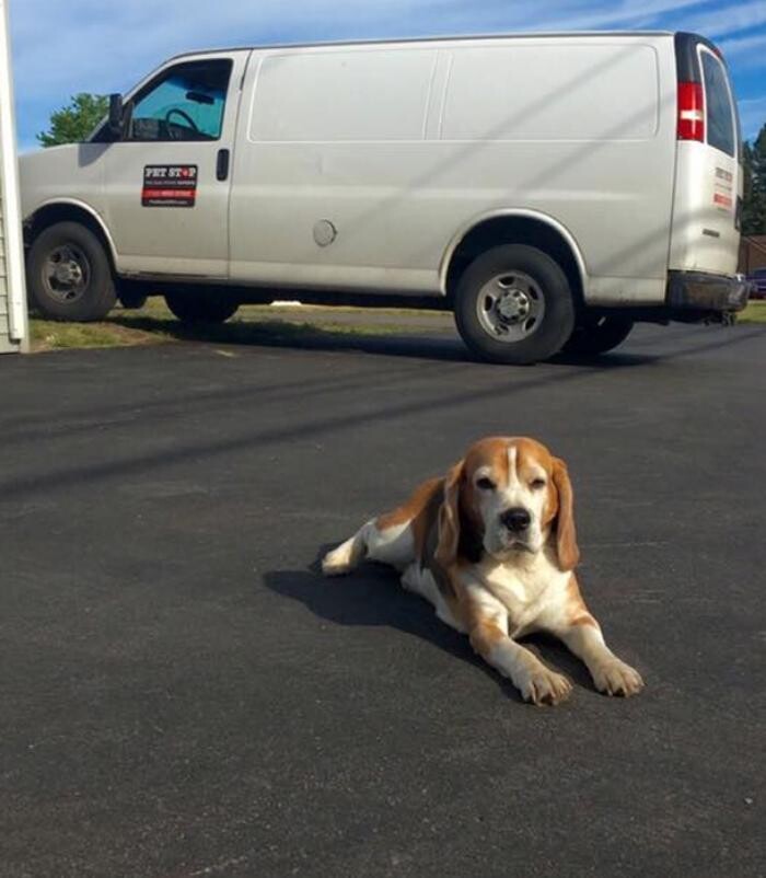 Images Pet Stop of WNY