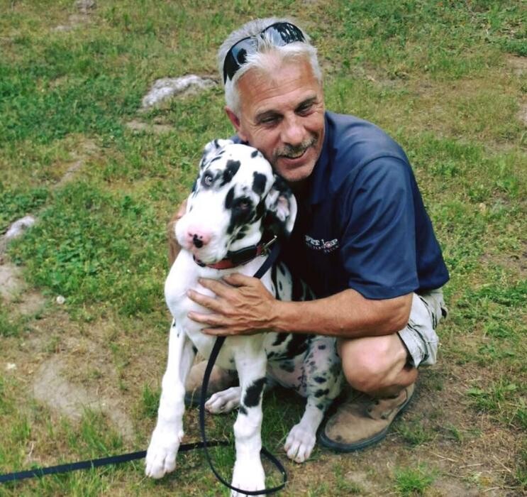 Images Pet Stop of WNY
