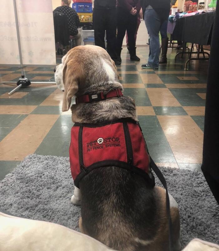 Images Pet Stop of WNY