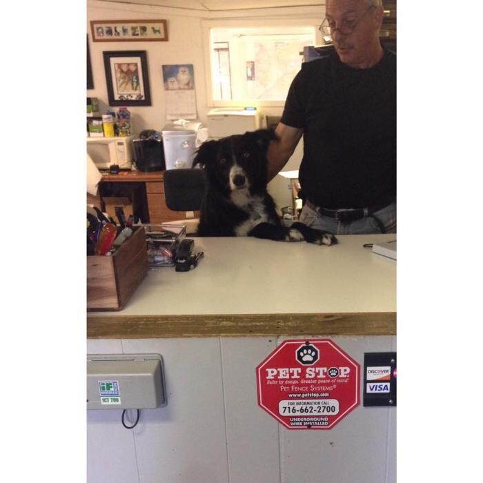 Images Pet Stop of WNY