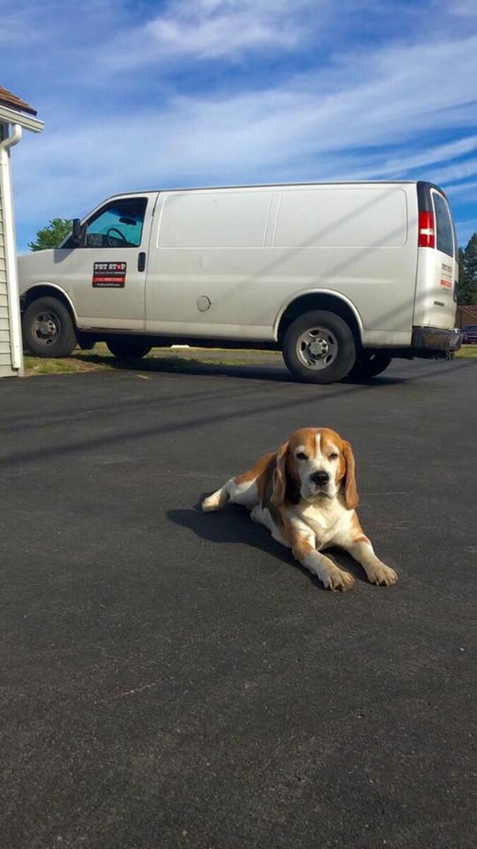 Images Pet Stop of WNY