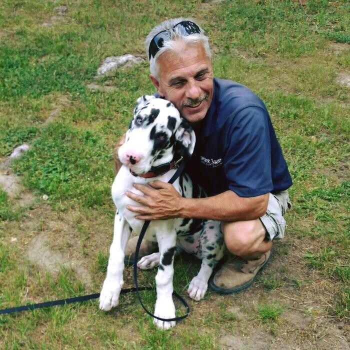 Images Pet Stop of WNY