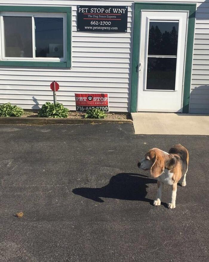 Images Pet Stop of WNY