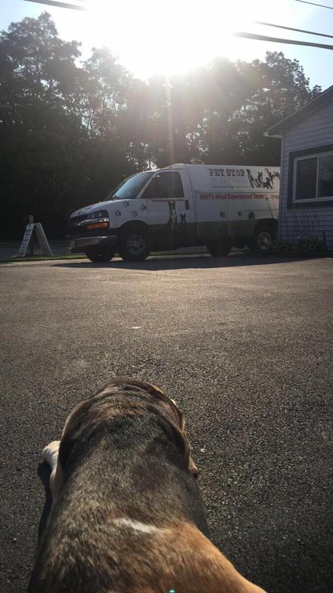 Images Pet Stop of WNY